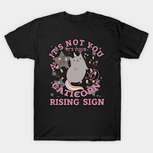 Caticorn Rising, Pawsitively Unique T-Shirt